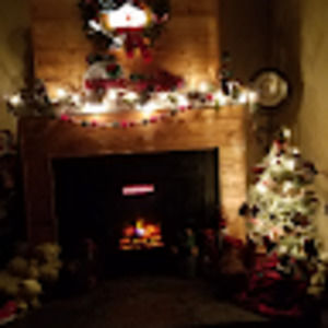 Meet your Posher, Denise langwell